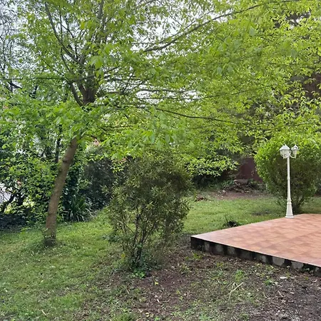 Nature A فيلة *